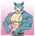  anthro beastars biceps big_muscles canid canine canis clothed clothing hi_res jabuhusky legoshi_(beastars) male mammal muscular muscular_anthro muscular_male nipples pecs solo suspenders swol wolf 
