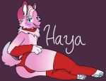  anthro arm_warmers armwear canid canine canis clothing domestic_dog fur girly haya_(heyeyy) legwear male mammal noodleslorp pink_body pink_fur solo stockings tongue tongue_out 