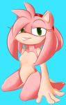  amy_rose anthro bedroom_eyes eulipotyphlan featureless_crotch female hedgehog hi_res mammal narrowed_eyes nude seductive shumpy solo sonic_the_hedgehog sonic_the_hedgehog_(series) 