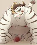 2020 anthro balls belly blue_eyes blush felid fur genitals hi_res kemono licho_(tas) male mammal moobs navel nipples overweight overweight_anthro overweight_male pantherine penis pomupomu490 solo tiger tokyo_afterschool_summoners video_games white_body white_fur 