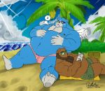  2020 anthro beach belly blue_body blue_fur bottomwear brown_body brown_fur bulge clothing deadanthro duo eyewear fur male mammal moobs moosh nintendo nipples oracle_of_ages oracle_of_seasons outside overweight overweight_male reading seaside shorts sitting sleeping sunglasses the_legend_of_zelda ursid video_games wings 