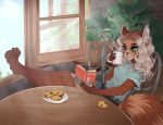  2020 ailurid anthro barefoot beverage blue_eyes book bottomwear chair clothing coffee coffee_mug cookie day detailed_background female food fur furniture green_eyes hair heterochromia holding_book holding_object inside mammal plant plate reading red_body red_fur red_panda rupey shirt shorts sitting smile solo table topwear wetsealky window 
