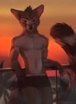  alx_(lousy7) anthro athletic bulge clothed clothing koul male mammal pecs procyonid raccoon solo sunset topless 