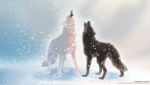  2020 ambiguous_gender black_body black_fur black_nose canid canine canis digital_media_(artwork) duo english_text feral fur hi_res howl mammal open_mouth paws teeth text tongue white_body white_fur wolf wolf250 
