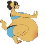  anthro belly big_belly canid canine canis crouching domestic_dog female hi_res hyper hyper_belly hyper_pregnancy mammal pregnant solo vivyx 