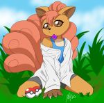  anthro baggy_clothing bedroom_eyes boxers_(clothing) canid canine clothing condom fox girly grass hi_res kneeling male mammal narrowed_eyes nintendo object_in_mouth outside pok&eacute;ball pok&eacute;mon pok&eacute;mon_(species) seductive sexual_barrier_device shirt solo tank_top topwear underwear video_games vulpix xiongshan 