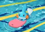  afloat closed_mouth commentary_request gen_3_pokemon kickboard lane_line mudkip pokemon pokemon_(creature) pool ripples sawasamesuke solo splashing swimming water 