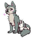  &lt;3 alpha_channel anthro anthro_on_anthro beastars blush blush_stickers canid canine canis duo female feral fur grey_body grey_fur haru_(beastars) lagomorph larger_anthro larger_male legoshi_(beastars) leporid male male/female mammal predator/prey rabbit rainbowpaw2015 simple_background size_difference smaller_anthro smaller_female tail_around_another transparent_background white_body white_fur wolf 