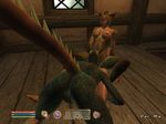  argonian dar-ma oblivion seed-neeus the_elder_scrolls 