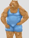  2016 3:4 absurd_res anthro brown_body brown_fur fur hi_res humanoid_hands kemono male mammal overweight overweight_anthro overweight_male simple_background solo suid suina sus_(pig) velcro74656 wild_boar wrestling_singlet 