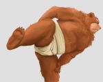  2016 5:4 anthro belly brown_body brown_fur fur hi_res humanoid_hands kemono male mammal overweight overweight_anthro overweight_male simple_background solo sumo ursid velcro74656 