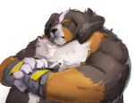  2020 anthro belly bernese_mountain_dog black_body black_fur brown_body brown_fur canid canine canis domestic_dog fur male mammal molosser mountain_dog overweight overweight_anthro overweight_male pukkunnnn simple_background solo swiss_mountain_dog white_background white_body white_fur 