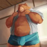  1:1 2017 anthro brown_body brown_fur bulge clothed clothing detailed_background fur hi_res humanoid_hands kemono male mammal open_shirt overweight overweight_anthro overweight_male shirt solo topwear underwear undressing ursid velcro74656 