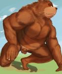  2016 anthro balls brown_body brown_fur flaccid fur genitals hi_res humanoid_hands kemono male mammal outside overweight overweight_anthro overweight_male penis solo ursid velcro74656 