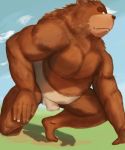  2016 anthro belly brown_body brown_fur fur hi_res humanoid_hands kemono male mammal outside overweight overweight_anthro overweight_male solo sumo ursid velcro74656 