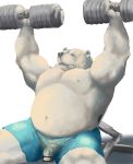  2017 anthro belly bottomwear clothing exercise fur genitals hi_res kemono male mammal moobs nipples overweight overweight_male penis polar_bear shorts solo ursid ursine velcro74656 white_body white_fur workout 