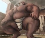  2017 anthro belly brown_body brown_fur detailed_background fur hi_res humanoid_hands inside kemono male mammal moobs nipples overweight overweight_male solo sumo ursid velcro74656 