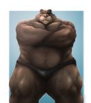  2019 anthro brown_body brown_fur clothing fur hi_res kemono male mammal navel overweight overweight_male simple_background solo underwear ursid velcro74656 
