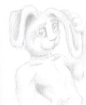  drawing lagomorph leporid mammal pencil_(disambiguation) rabbit sketch 