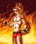  anthro boxer_briefs boxers_(clothing) brown_body canid canine canis clothing fur hi_res male mammal red_clothing red_underwear solo underwear vallhund white_body wolf 