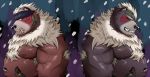  2020 absurd_res anthro belly black_nose brown_body brown_fur duo fur hi_res kimun_kamui_(tas) male mammal moobs nipples overweight overweight_male siroihigenokoi tokyo_afterschool_summoners ursid video_games wen_kamui_(tas) 