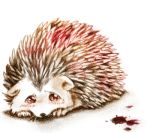  2010 ayaka blood bodily_fluids crying eulipotyphlan feral hedgehog low_res mammal shaking shivering simple_background solo tears 
