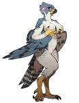 2020 alpha_channel anthro avian big_breasts bird breasts brown_eyes falcon falconid female furikake hand_on_breast nude peregrine_falcon solo standing stoop 