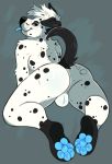  anthro balls bubbles_dalmatian butt canid canine canis cheeky dalmatian domestic_dog genitals humanoid male male/male mammal pawpads paws presenting presenting_hindquarters princelykaden raised_tail slightly_chubby solo spots tongue tongue_out 
