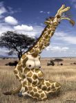  2011 abdominal_bulge anthro belly breasts duo felid female giraffe giraffid lion mammal neck_bulge nipples oral_vore pantherine photo_background sitting strega swallowing vore yellow_body 