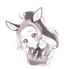  1girl animal_ears blush bow bowtie collared_shirt commentary_request donkey_(kemono_friends) donkey_ears donkey_girl dress extra_ears forehead greyscale grin head_tilt high_ponytail kemono_friends kemono_friends_2 kuromitsu_(9633_kmfr) long_hair long_sleeves looking_at_viewer monochrome ponytail shirt sidelocks smile solo upper_body 