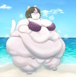  absurd_res anthro beach belly belly_overhang big_belly big_breasts bikini black_hair black_lipstick blush bodily_fluids bottom_heavy breasts catti_(deltarune) claws clothed clothing deep_navel deltarune detailed_background domestic_cat ear_piercing ear_ring fat_rolls felid feline felis female front_view fur hair hand_on_stomach hi_res highlights_(coloring) huge_breasts huge_hips huge_thighs huwon lipstick looking_at_viewer makeup mammal mascara morbidly_obese morbidly_obese_female navel obese obese_female open_mouth outside overweight overweight_female piercing pink_highlights public seaside short_hair skimpy solo standing straight_hair summer sweat swimwear thick_thighs three-quarter_view video_games whiskers white_body white_fur wide_hips yellow_eyes 