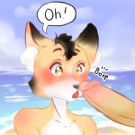  anthro beach big_penis blush boop canid canine dan_the_rabbit fox genitals male mammal miles_the_fox penis public seaside solo unknown_species 