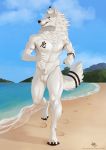  animal_genitalia anthro athletic athletic_male balls beach canid canine canis fur genitals hi_res looking_at_viewer maaia male mammal mane muscular nipples nude penis running seaside sheath smile solo tattoo tattoo_on_chest tattooed_arm wolf 