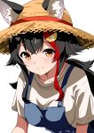  1girl absurdres alternate_costume animal_ear_fluff animal_ears black_hair blue_overalls closed_mouth ears_through_headwear hair_ornament hairpin hat highres hololive kishishi_(kishiman-ya) long_hair ookami_mio overalls ponytail red_hair shirt smile solo straw_hat virtual_youtuber white_background white_shirt wolf_ears wolf_girl yellow_eyes 