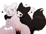  anthro black_body black_fur blue_eyes blush bodily_fluids canid canine changed_(video_game) duo fur genital_fluids genitals lin_(changed) male male/male mammal open_mouth penis precum puro_(changed) simple_background video_games white_background white_body white_fur xttttd 