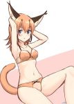  1girl absurdres animal_ear_fluff armpits arms_behind_head arms_up bangs blue_eyes blush bra breasts caracal_(kemono_friends) caracal_ears caracal_tail collarbone eyebrows_visible_through_hair frown hair_between_eyes highres kemono_friends long_hair looking_at_viewer medium_breasts navel orange_bra orange_hair orange_panties panties pink_background shiraha_maru signature simple_background sketch solo stomach two-tone_background underwear underwear_only white_background 
