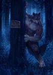  anthro canid canine canis forest hi_res hiding male mammal night racoonwolf rakan sign tree were werecanid werecanine werewolf wolf 