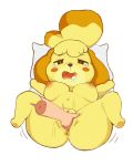  4:5 absurd_res animal_crossing anthro blush canid canine canis domestic_dog female fingers fur hi_res isabelle_(animal_crossing) mammal nintendo nipples nude sejonua simple_background solo video_games yellow_body yellow_fur 