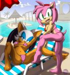  absurd_res amy_rose animal_humanoid anthro beach bikini breasts butt chiropteran clothed clothing duo eulipotyphlan female fur genitals green_eyes hair hedgehog hedgehoglove hi_res humanoid mammal membrane_(anatomy) membranous_wings navel nipples outside pink_body pussy rouge_the_bat seaside sonic_the_hedgehog_(series) swimwear translucent translucent_clothing video_games water wings 