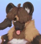  african_wild_dog anthro black_nose canid canine canis darius_davis digital_media_(artwork) fur hair hair_over_eye headshot_portrait hi_res looking_at_viewer male mammal multicolored_body multicolored_fur one_eye_obstructed portrait psyzh simple_background smile solo tongue tongue_out 
