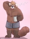  2020 ailurid anthro belly clothing eyes_closed hi_res male mammal moobs navel nipples overweight overweight_male pache_riggs red_panda simple_background solo tired tongue tongue_out underwear 