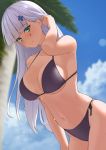  1girl bangs bikini black_bikini blue_sky blunt_bangs cloud cowboy_shot day facial_mark girls_frontline green_eyes hk416_(girls_frontline) krs_(karasu) leaning_forward long_hair looking_at_viewer outdoors palm_tree silver_hair sky solo swimsuit teardrop tree 