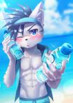  abs absurd_res anthro beach blush bodily_fluids bottle canid canine clothing hi_res male mammal manadezimon muscular muscular_male one_eye_closed open_vest pecs sea seaside solo sweat teenager topwear vest water wet young 