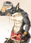  2020 absurd_res anthro black_nose bottle bulge canid canine canis clothed clothing fangs fur hi_res kiyosan_(artist) male mammal multicolored_body multicolored_fur nipples open_mouth solo tennis_racket topless two_tone_body two_tone_fur wolf 