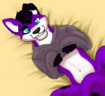  anthro belly black_hair canid canine canis clothing domestic_dog elkhound floppy_ears fur hair hoodie male mammal pawalo pawprint_marking purple_body purple_fur smile solo spitz thetater topwear white_body white_fur 