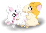  bijou hamtaro tagme 