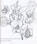  ckt cricket-inc rouge_the_bat sega sonic_team 