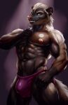abs anthro biceps bleakcat brown_body brown_eyes brown_fur bulge clothing ear_piercing fur hi_res hog-nosed_skunk jockstrap male mammal mephitid multicolored_body multicolored_fur muscular muscular_anthro muscular_male nipple_piercing nipples pecs piercing pink_nipples pink_nose pinup pose purple_clothing purple_jockstrap purple_underwear roberto_flores serratus skunk snaggle_tooth solo spotlight spotlight_beam underwear white_striped_fur