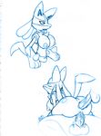  ckt cricket-inc lucario pokemon tagme 