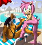  absurd_res amy_rose anthro beach bikini bikini_thong breasts butt chiropteran clothed clothing duo eulipotyphlan female fur green_eyes hair hedgehog hedgehoglove hi_res mammal membrane_(anatomy) membranous_wings navel nipple_outline outside pink_body rouge_the_bat seaside sling_bikini sonic_the_hedgehog_(series) spread_legs spreading swimwear video_games water wings 